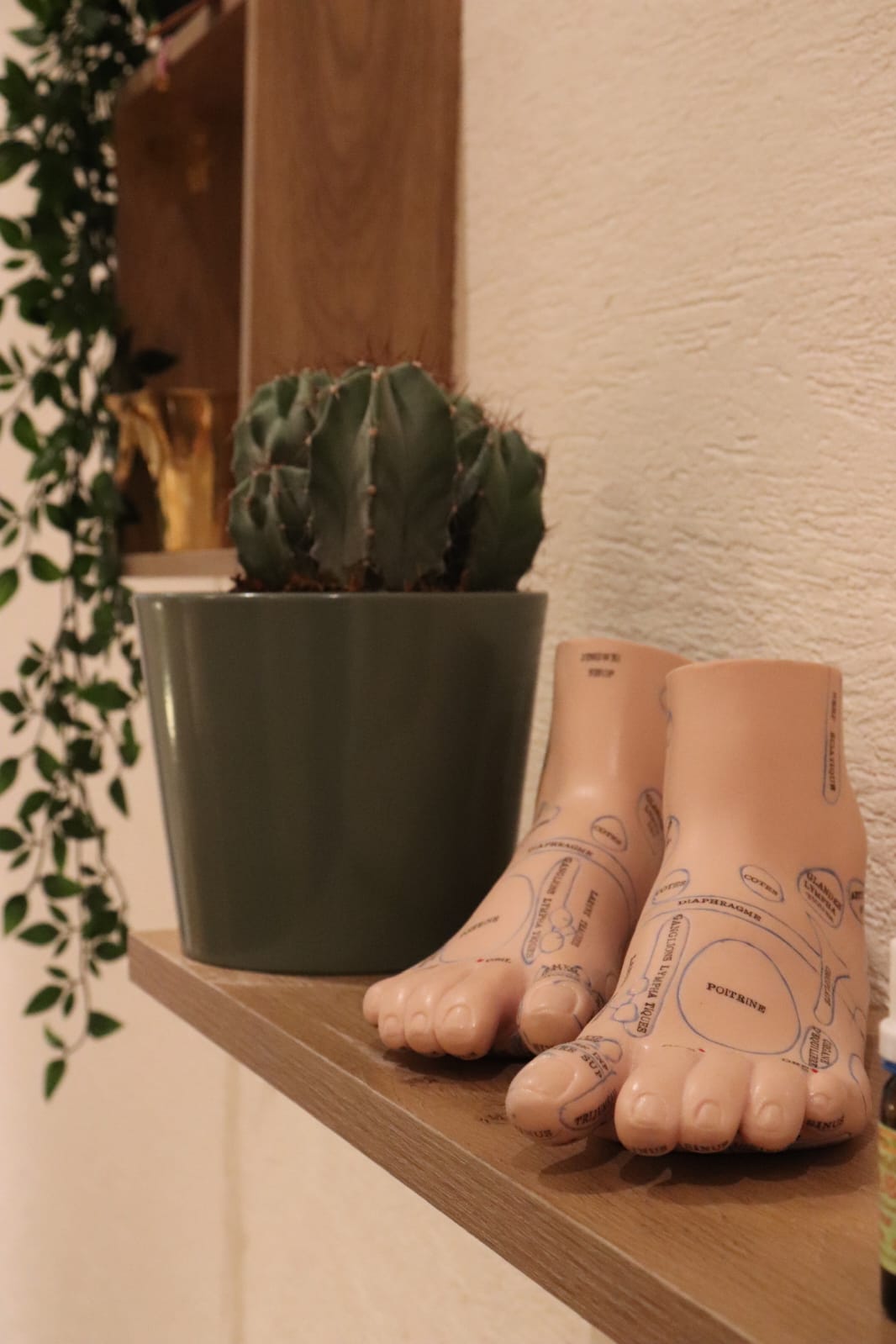 WhatsApp Image 2026-01-31 at 13.03.34 (5)